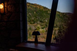Soma Landscape Suites - 2