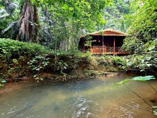 Khao Sok Silver Cliff Resort - 3