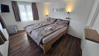 Private Rooms near Glarus, Shared Bath - 6