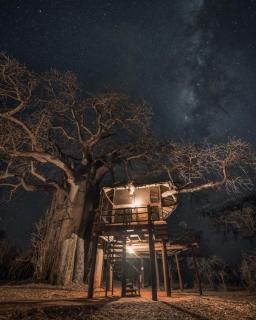 Tarangire Treetops - 9