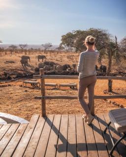Tarangire Treetops - 8