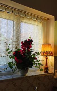 Nafpaktos The Country Home - 7