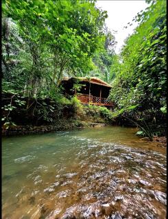 Khao Sok Silver Cliff Resort - 5