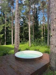 Villa by the forest - 2
