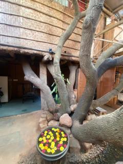 Aura Kalari Buddha Stone, Mud House & Tree House - 6