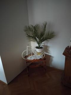 Kuća za odmor MEDUNIĆ - 9