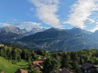 Chalet Bergzauber, Ferienwohnung Rosenlaui - 8