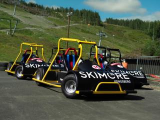 Skimore Retreat Kongsberg, Modern Cabin Ski - Sauna - EV Charging - 4