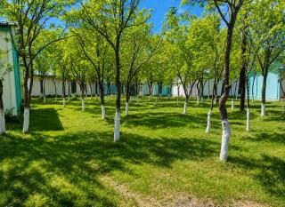 Lake Sevan Private Cottage with Yard - 7