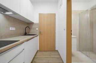 CoLiving Studio 1 near the Main Train Station - Prague - 1