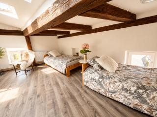 Old Town Loft 11 - Stay Olomouc CZ - 3