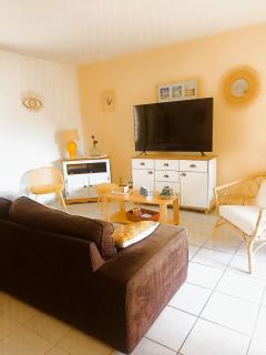 Mauguio-Carnon Apt T2 Tout Confort, Spacieux, Lumineux, Clim, Wifi, Balcon, parking privé, 15 mn des plages, de Montpellier - 7