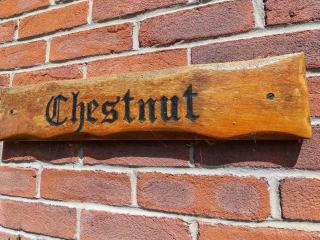 Chestnut - 9