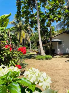 Dedunu Resort & Yala Safari - 2