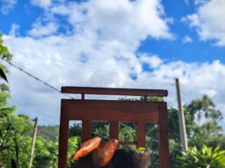 Mellow Homestay - 6