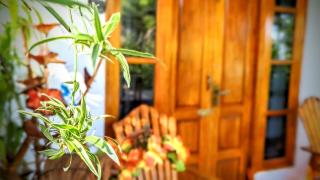 Mellow Homestay - 4