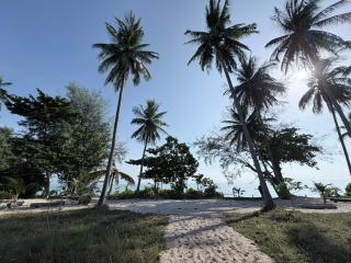 Tiny beach house- Coconut Garden With Free Row Boat - 2