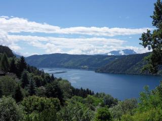 FeWo in der Weinleiten - Millstatt - 5
