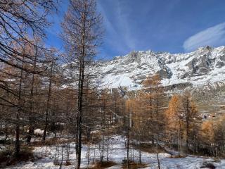 Cervinia Mountain View Apartments - 2