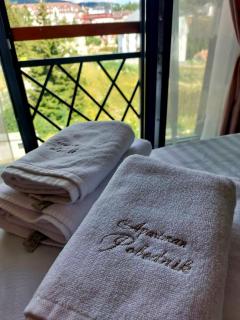 Apartman Pobednik - Residence Hill Kopaonik - 1