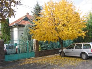 Családi Vendégház - Eger - 9