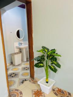 Zarex homes - 2
