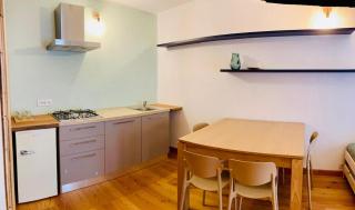 Spacious, renovated studio apartment in the center of Pragelato - 1