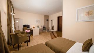 Violin Hotel - 1