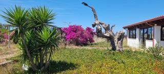 Magia Salentina! Tipico Trullo con Giardino - 6