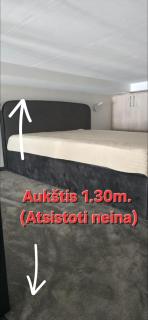 Prie Basanavičiaus g - 8