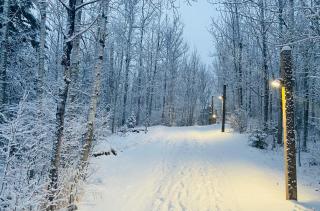 Rustic Chalet | Ski-In/Out | Hot Tub, Pool, Gym - 4
