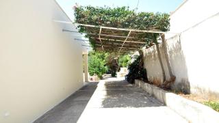 ALBERO DI ANTONIA ROOM, by Salento Affitti - 7