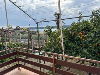 Apartmani Lucija - 7