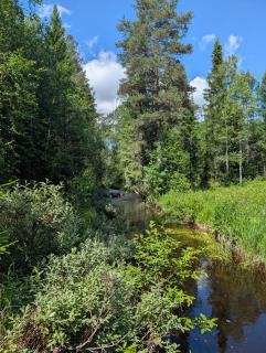 Peace and Nature Lillhamra Los, Orsa Finnmark - 6