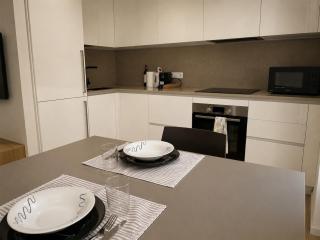 Nuovo Loft in centro città più terrazzo vista fiume - 1