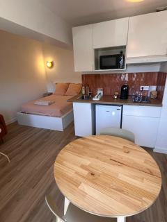 Studio Ô Maé proche Village Outlet - Aéroport - St-Quentin-Fallavier - 3