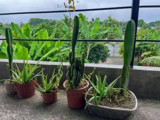 Suite completa con jardin y parqueo privado - 2
