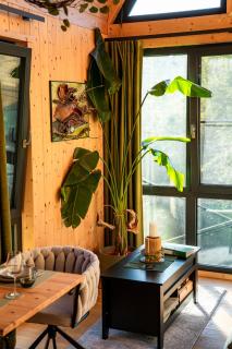 Taunus Tinyhouse - Sauna, Grillplatz & Naturidylle - 4