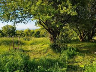 Betania Forest House-Cool Mountain Escape - 9