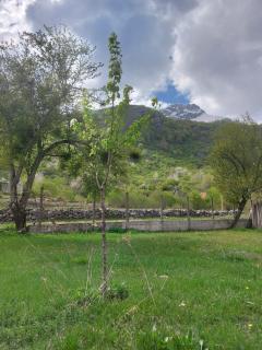 Avdi kola guesthouse - 4