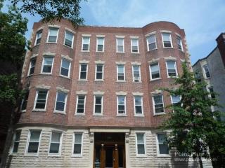 Full Apt with Parking in the Heart of Cambridge near Harvard, MIT & Boston - 1