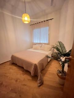 Cosy Studio - Tunis - 6