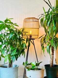 Stylish appartement 10 Min to Amsterdam Central - 2