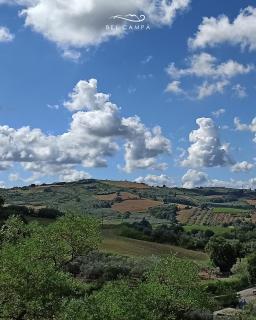 Bel campà - B&B VEGANO IN CAMPAGNA - 8