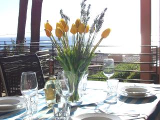 Appartement au Chateau Vallaya - Menton - 6