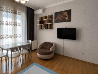 Luxury Airport Residence - 7
