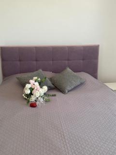 Olivia Suite - 5