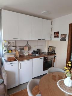 Apartman Dadja Zlatibor & SPA - 1