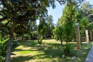 Lemon Garden Apartments - 8