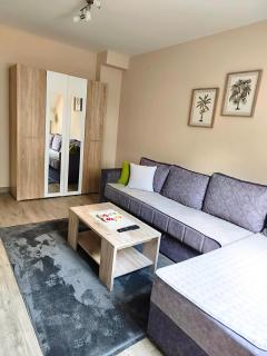 Apartman Maksimović Divčibare - 6